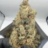 Biscotti Strain