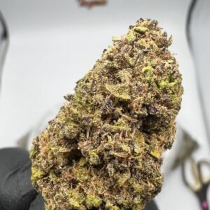 Blueberry Strain
