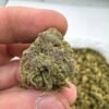 Cheese strain