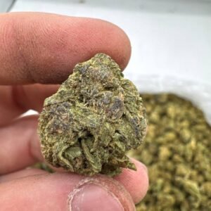 Cheese strain
