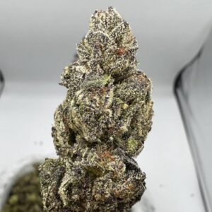 Gelato Strain