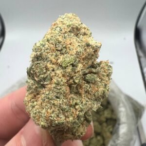 Girl Scout Cookies