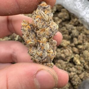 Godfather OG Strain