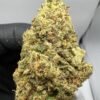 Master Kush