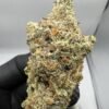 Maui Wowie Strain