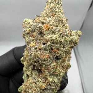 Maui Wowie Strain