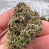 Northern Lights strain