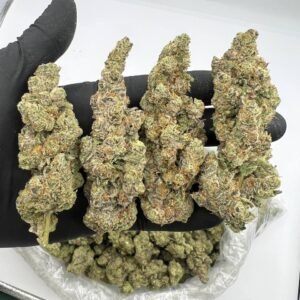 White Widow Strain